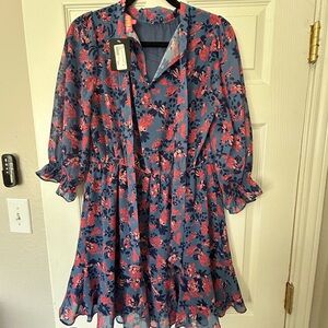 THML Blue and Pink Floral Dress